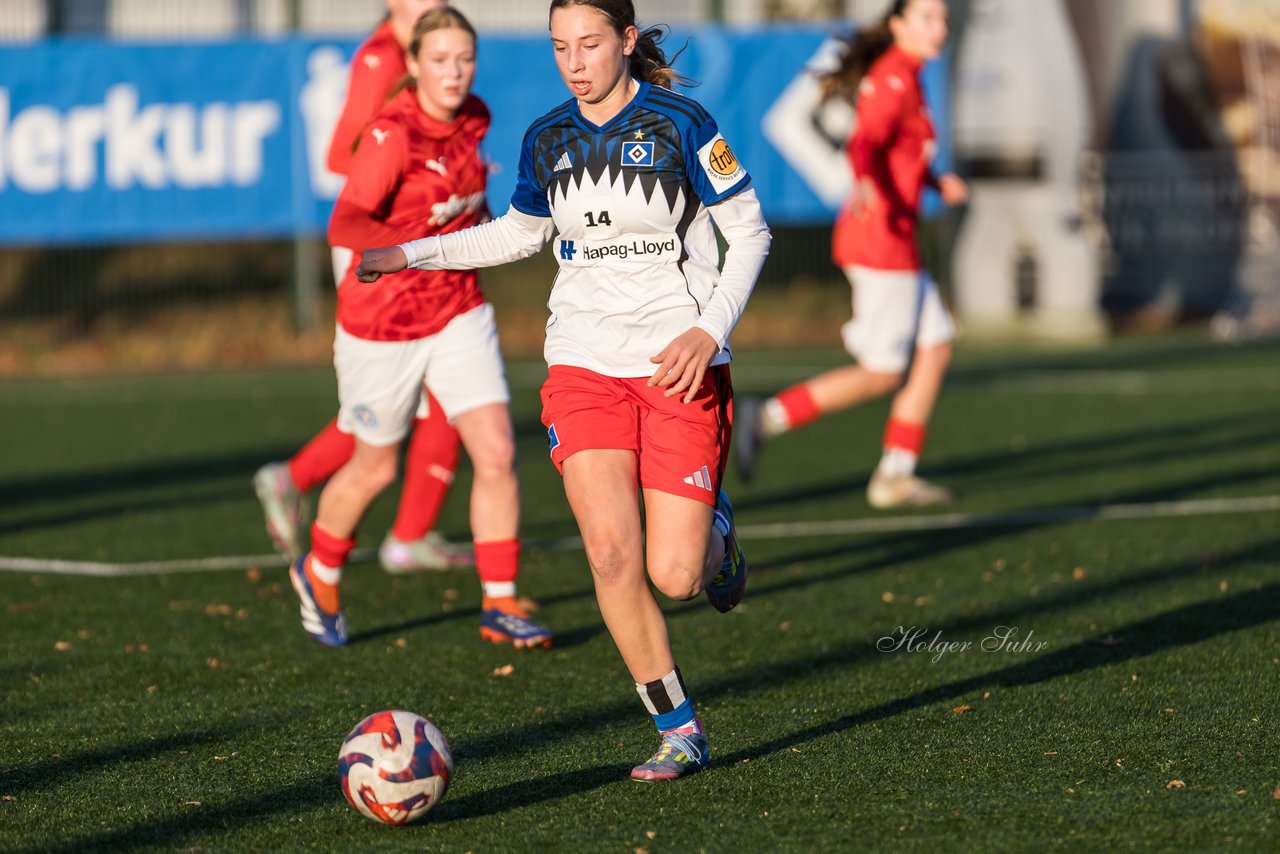 Bild 244 - wBJ Hamburger SV - Holstein Kiel : Ergebnis: 8:0